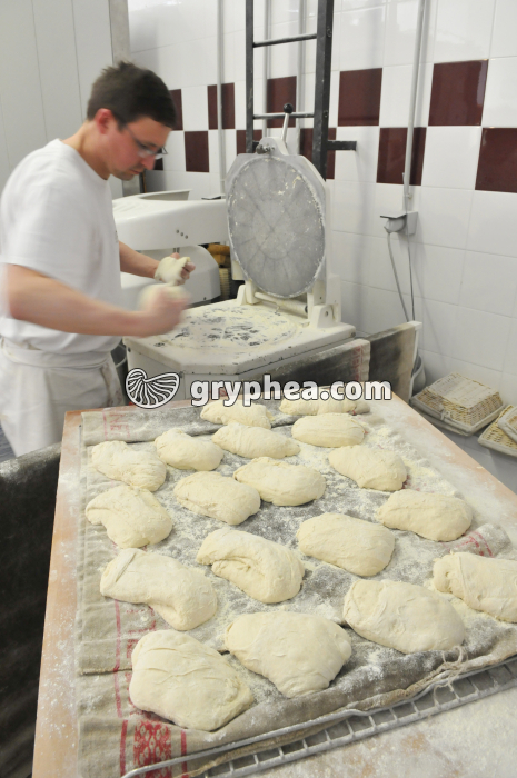 Fabrication du pain - Production des pâtons au moyen de la diviseuse - gryphea.com